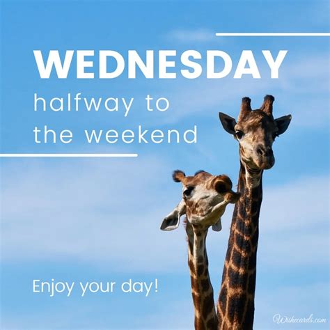 happy wednesday images|happy wednesday images funny.